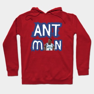 Ant Man- Anthony Edward Hoodie